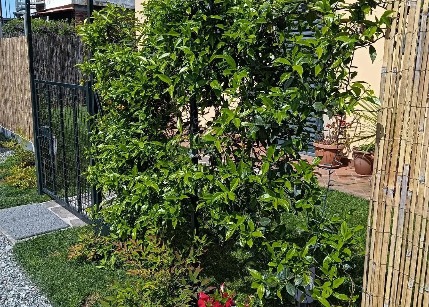Casa Vacanze Rustico Di Corte Capannori 0*,