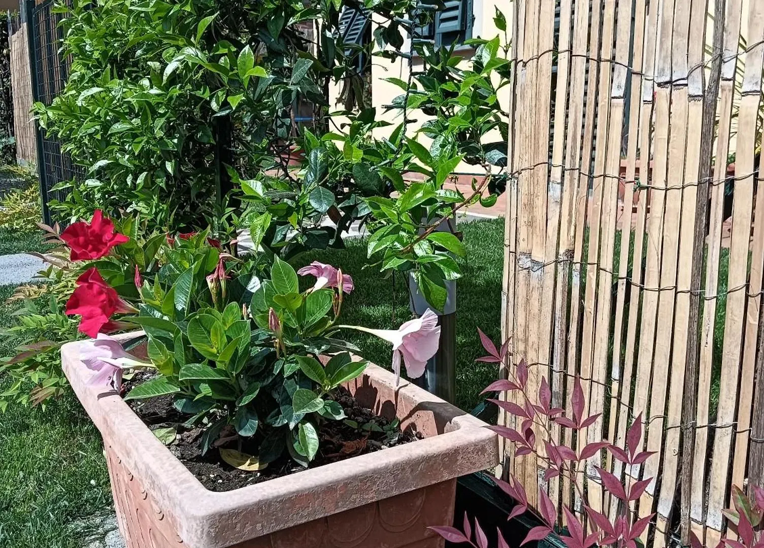 Casa Vacanze Rustico Di Corte Capannori Italy